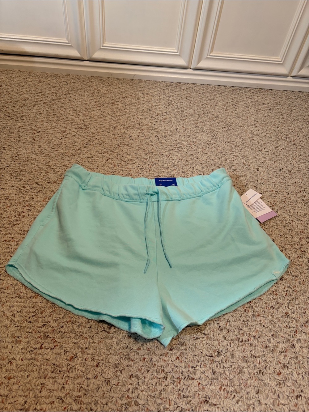 JoyLab Mint Drawstring Athletic Lounge Shorts